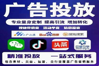谷歌竞价广告与SEO结合的营销案例解析